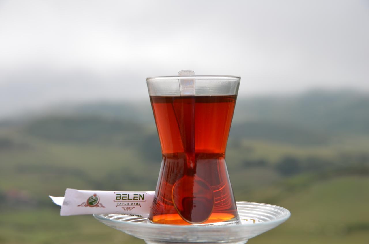 Hotel Belen Yayla 2*