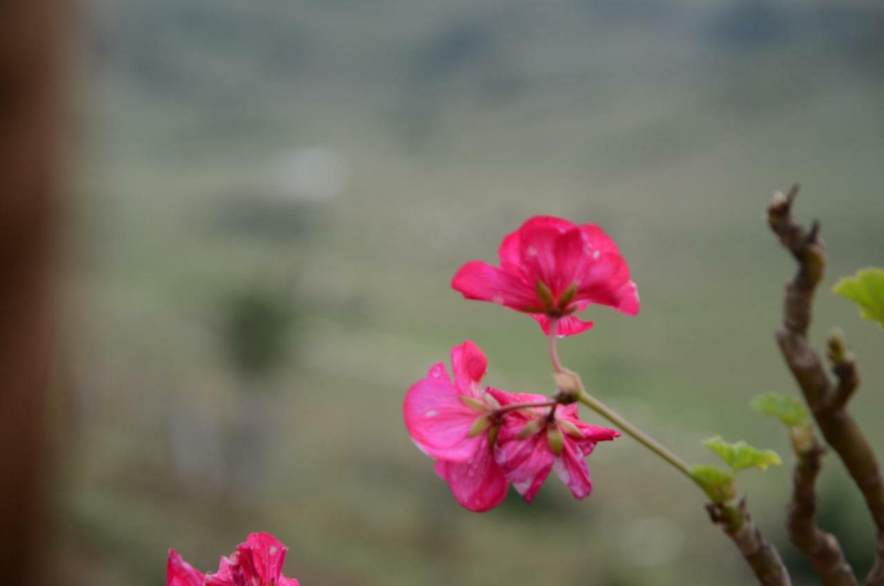 Belen Yayla Hotel Aybasti