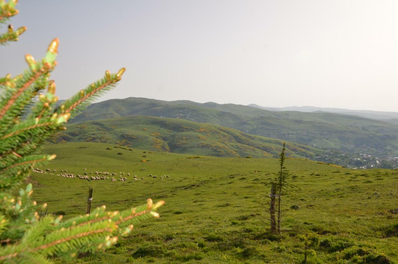 Hotel Belen Yayla